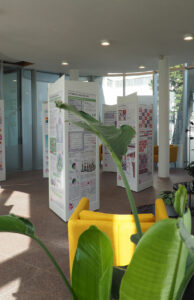 Infosäulen der Wanderausstellung Pfad der Vielfalt mit bunten Grafiken mit einer grünen Pflanze davor